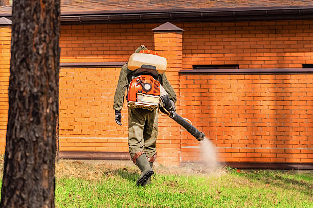 Trusted Cockroach Control service in Bradford, TN - Nex Pest Control
